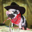 ArghBeef Profile Picture