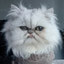 Letumgo Profile Picture