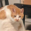 Wilson Profile Picture